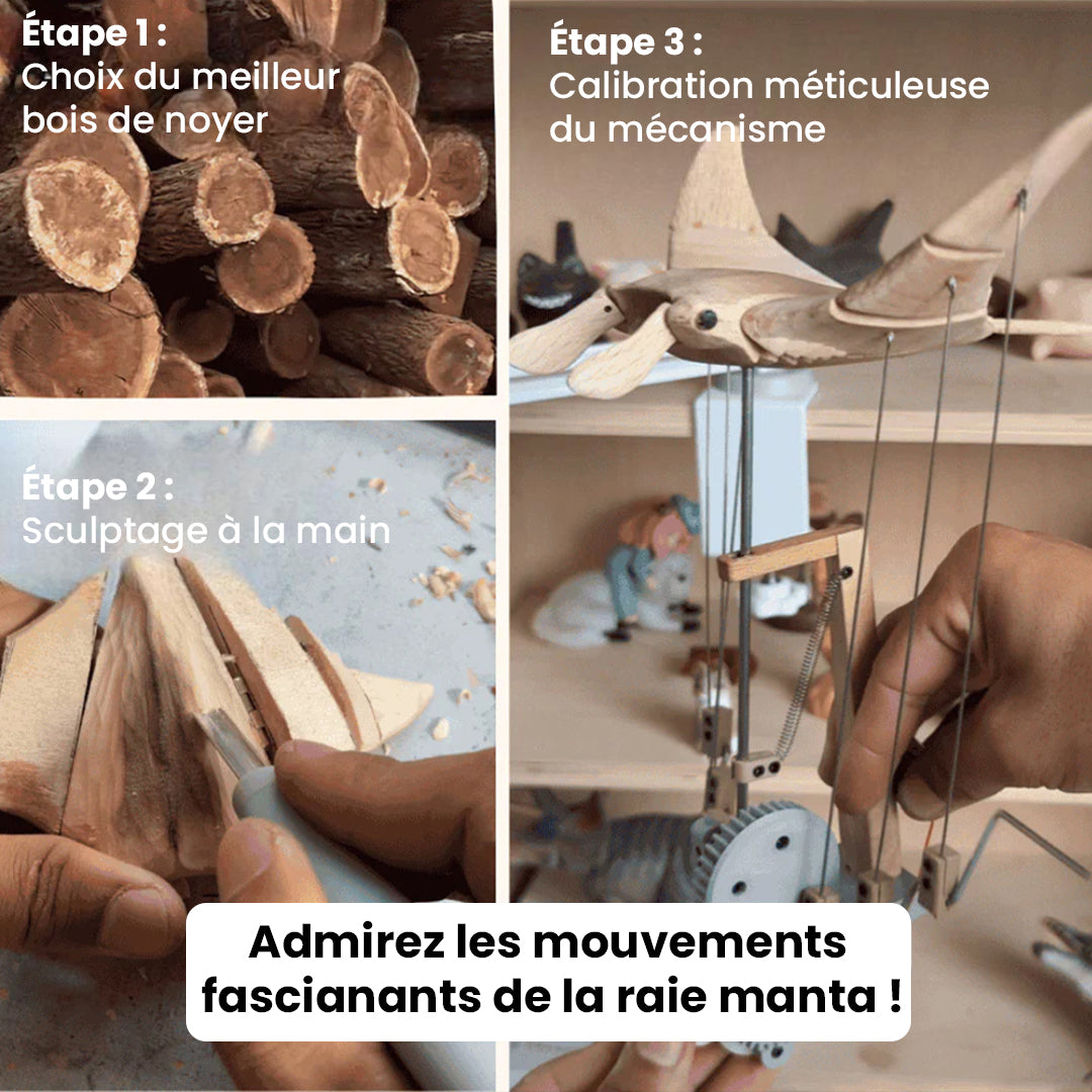 Raie Manta animée MarineQuest