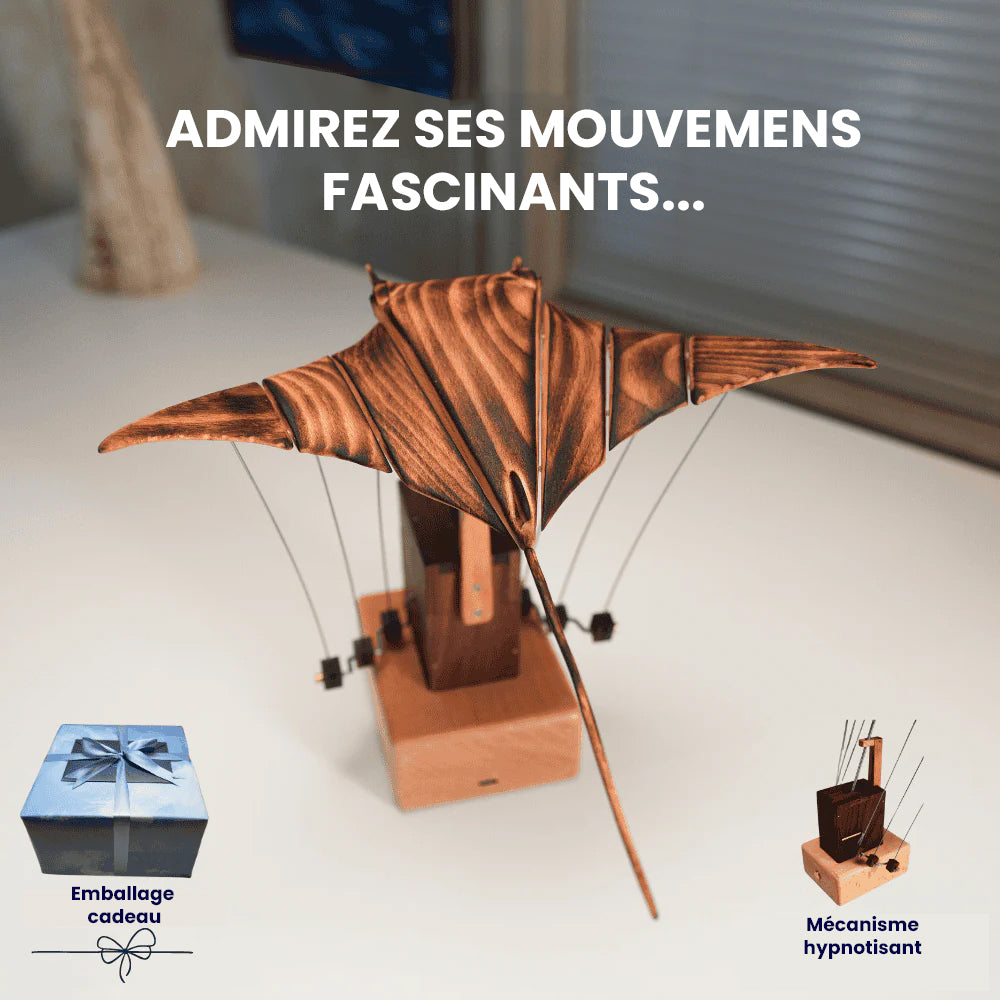 Raie Manta animée MarineQuest