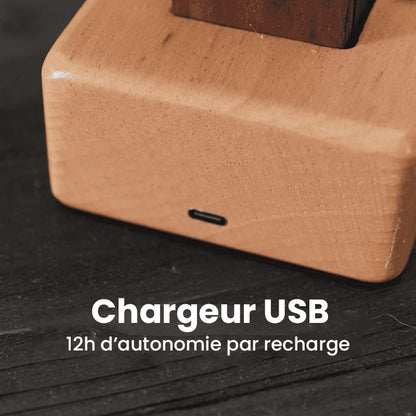 Raie Manta animée MarineQuest