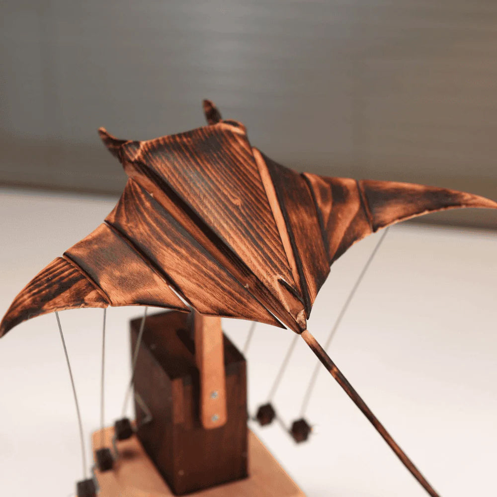 Raie Manta animée MarineQuest